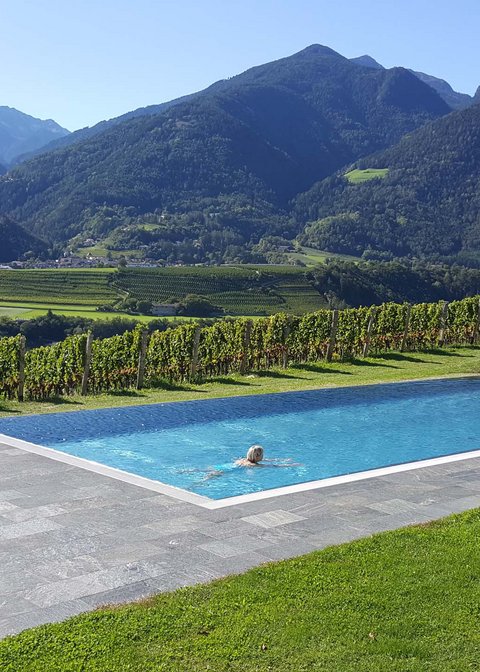 Hotel Pacherhof con tenuta vinicola: immagini e video Hotel Pacherhof con tenuta vinicola: immagini e video