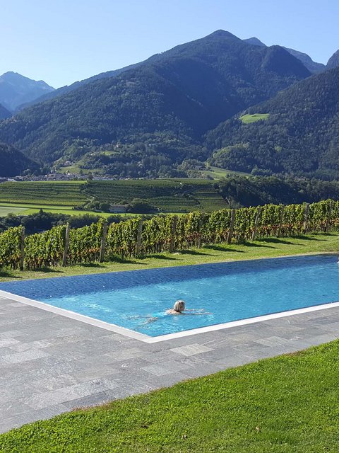 Hotel Pacherhof con tenuta vinicola: immagini e video Hotel Pacherhof con tenuta vinicola: immagini e video
