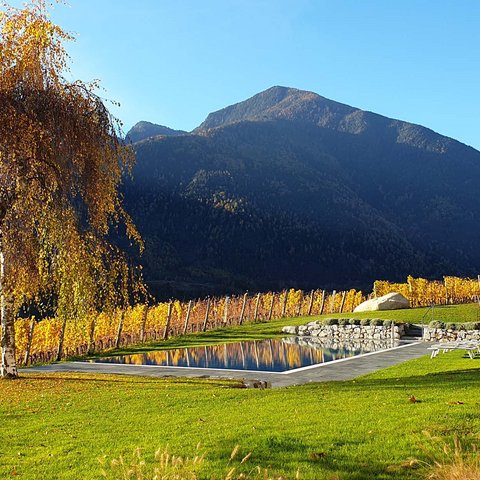 Hotel Pacherhof con tenuta vinicola: immagini e video Hotel Pacherhof con tenuta vinicola: immagini e video