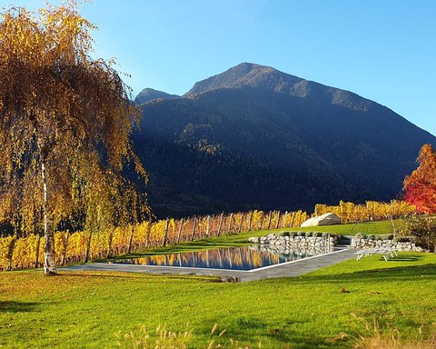 Hotel Pacherhof con tenuta vinicola: immagini e video Hotel Pacherhof con tenuta vinicola: immagini e video