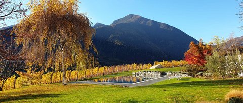 Hotel Pacherhof con tenuta vinicola: immagini e video Hotel Pacherhof con tenuta vinicola: immagini e video