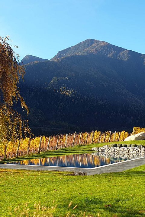 Hotel Pacherhof con tenuta vinicola: immagini e video Hotel Pacherhof con tenuta vinicola: immagini e video