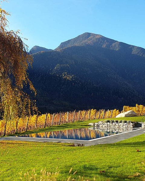 Hotel Pacherhof con tenuta vinicola: immagini e video Hotel Pacherhof con tenuta vinicola: immagini e video