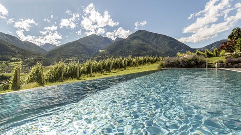 Hotel Pacherhof con tenuta vinicola: immagini e video Hotel Pacherhof con tenuta vinicola: immagini e video