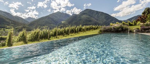 Hotel Pacherhof con tenuta vinicola: immagini e video Hotel Pacherhof con tenuta vinicola: immagini e video