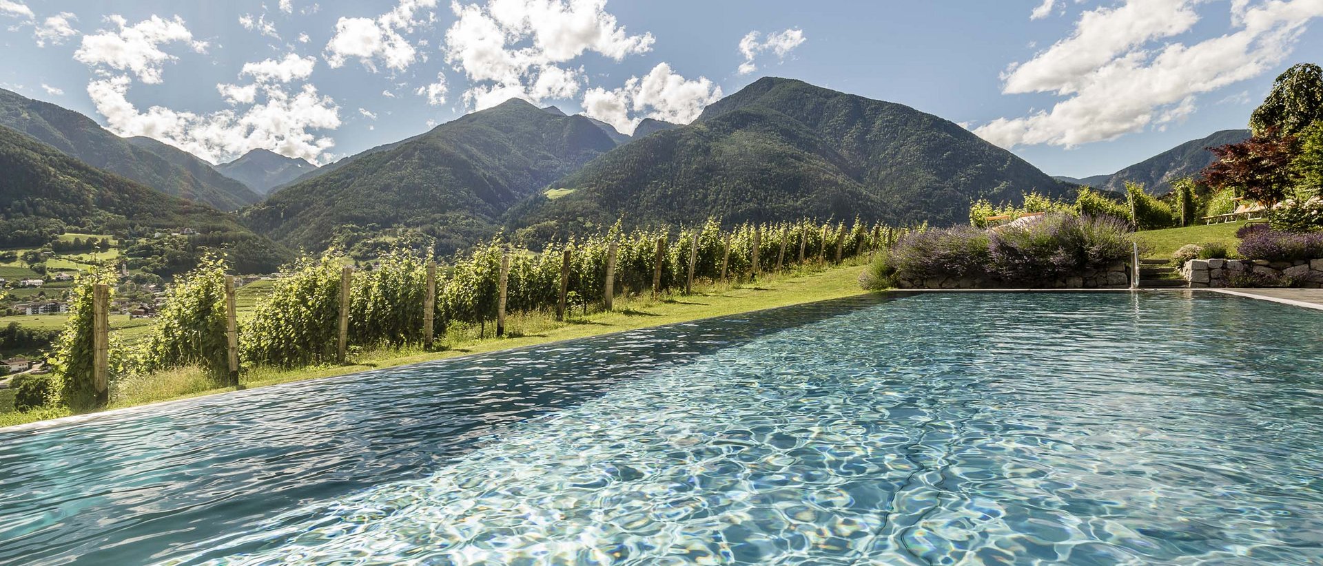 Pacherhof Hotel & Winery: Welcome! Pacherhof Hotel & Winery: Welcome!