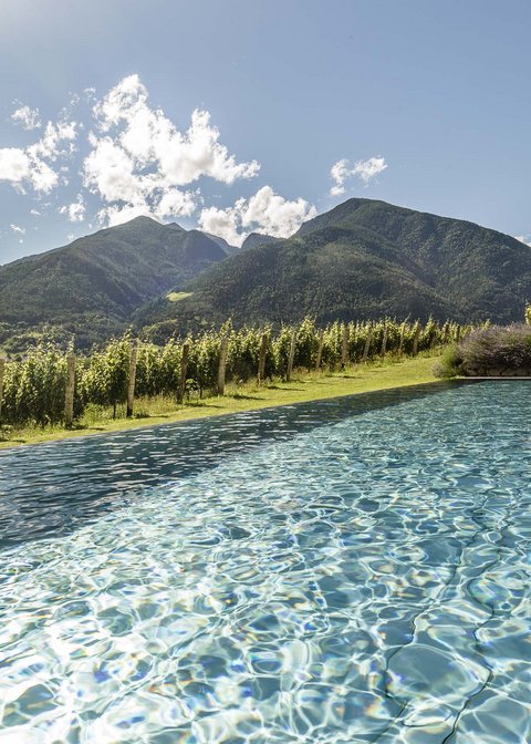 Hotel Pacherhof con tenuta vinicola: immagini e video Hotel Pacherhof con tenuta vinicola: immagini e video