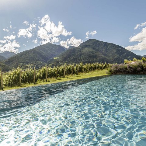 Hotel Pacherhof con tenuta vinicola: immagini e video Hotel Pacherhof con tenuta vinicola: immagini e video