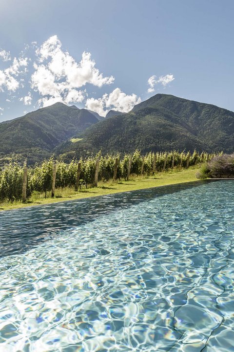 Hotel Pacherhof con tenuta vinicola: immagini e video Hotel Pacherhof con tenuta vinicola: immagini e video