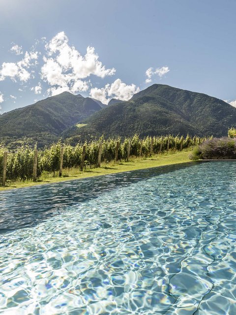 Hotel Pacherhof con tenuta vinicola: immagini e video Hotel Pacherhof con tenuta vinicola: immagini e video