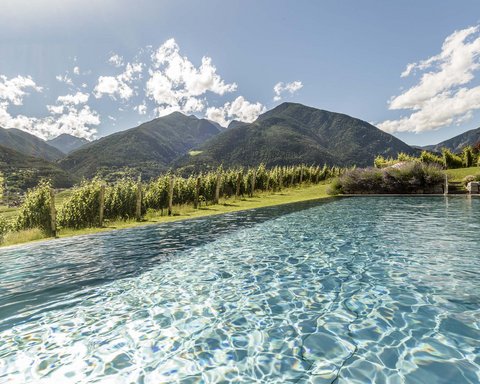 Hotel Pacherhof con tenuta vinicola: immagini e video Hotel Pacherhof con tenuta vinicola: immagini e video