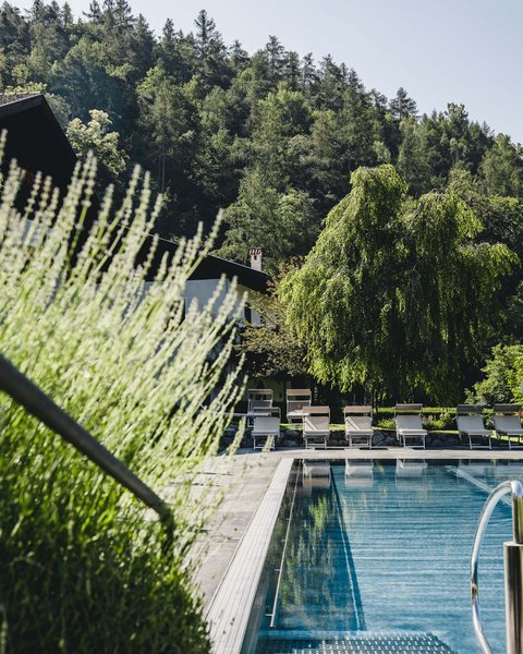 Hotel Pacherhof con tenuta vinicola: immagini e video Hotel Pacherhof con tenuta vinicola: immagini e video