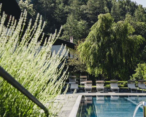 Hotel Pacherhof con tenuta vinicola: immagini e video Hotel Pacherhof con tenuta vinicola: immagini e video