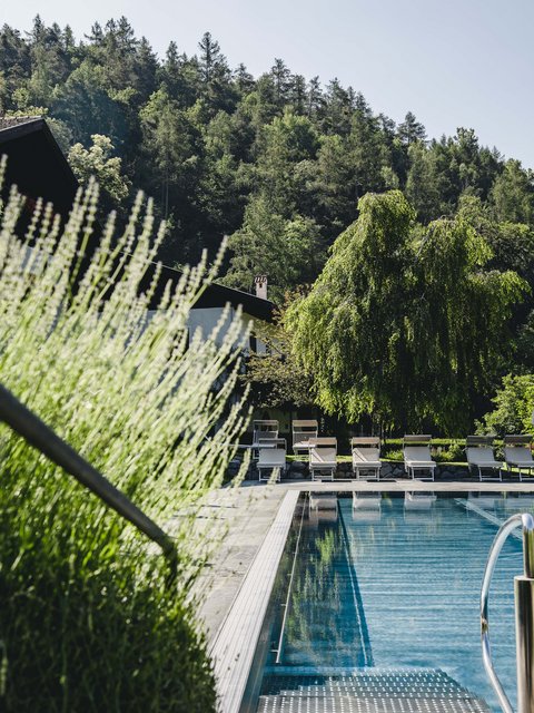Hotel Pacherhof con tenuta vinicola: immagini e video Hotel Pacherhof con tenuta vinicola: immagini e video