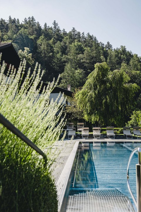 Hotel Pacherhof con tenuta vinicola: immagini e video Hotel Pacherhof con tenuta vinicola: immagini e video