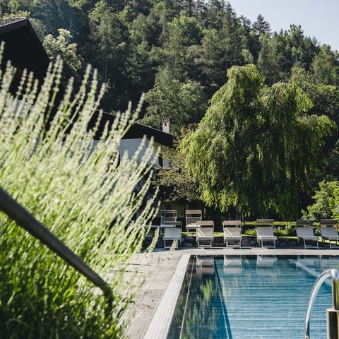 Hotel Pacherhof con tenuta vinicola: immagini e video Hotel Pacherhof con tenuta vinicola: immagini e video