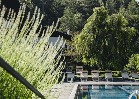 Hotel Pacherhof con tenuta vinicola: immagini e video Hotel Pacherhof con tenuta vinicola: immagini e video
