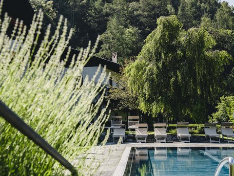 Hotel Pacherhof con tenuta vinicola: immagini e video Hotel Pacherhof con tenuta vinicola: immagini e video