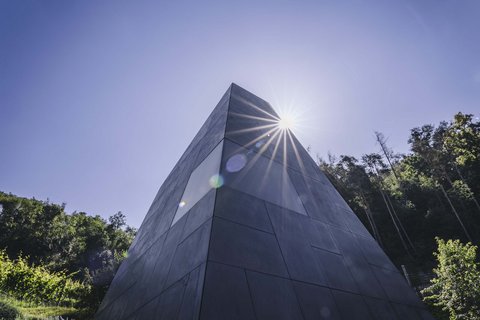 Hotel Pacherhof con tenuta vinicola: immagini e video Hotel Pacherhof con tenuta vinicola: immagini e video