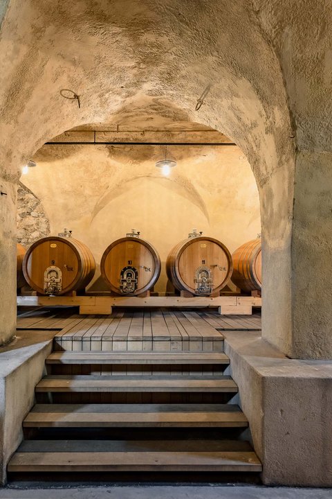Hotel Pacherhof con tenuta vinicola: immagini e video Hotel Pacherhof con tenuta vinicola: immagini e video