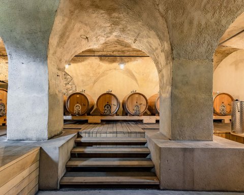 Hotel Pacherhof con tenuta vinicola: immagini e video Hotel Pacherhof con tenuta vinicola: immagini e video