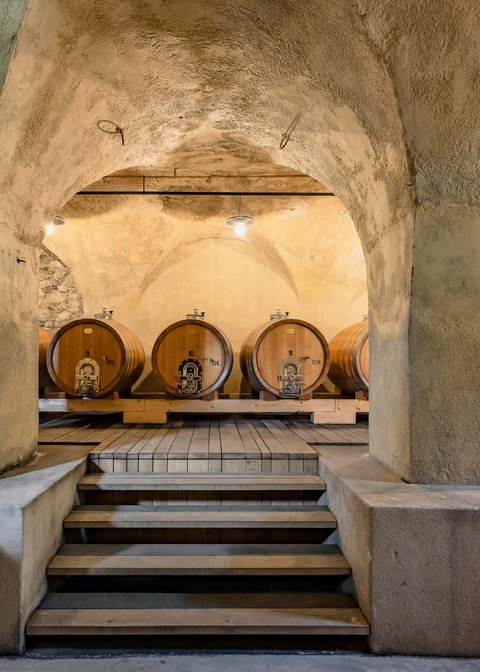 Hotel Pacherhof con tenuta vinicola: immagini e video Hotel Pacherhof con tenuta vinicola: immagini e video