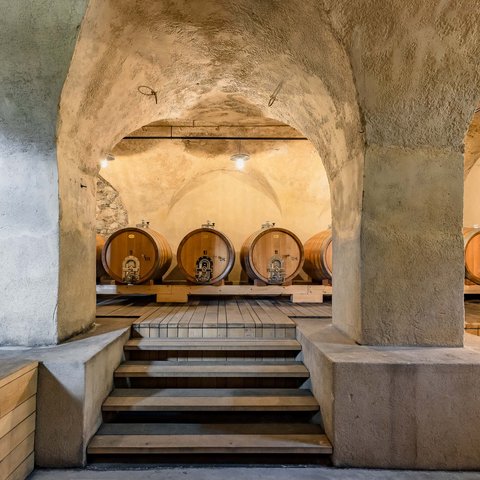 Hotel Pacherhof con tenuta vinicola: immagini e video Hotel Pacherhof con tenuta vinicola: immagini e video