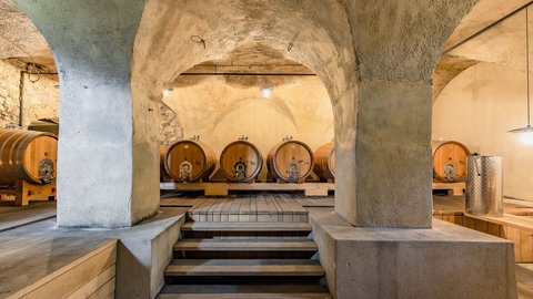 Hotel Pacherhof con tenuta vinicola: immagini e video Hotel Pacherhof con tenuta vinicola: immagini e video