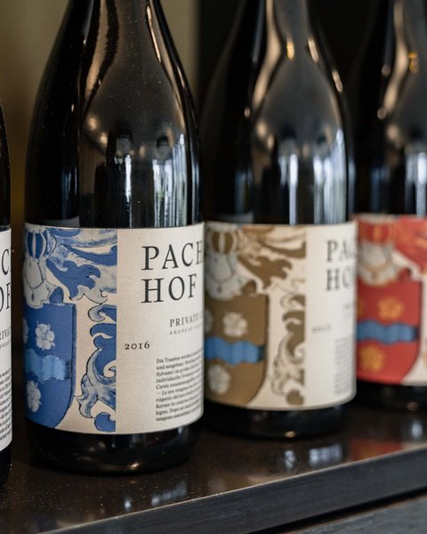 Hotel Pacherhof con tenuta vinicola: immagini e video Hotel Pacherhof con tenuta vinicola: immagini e video
