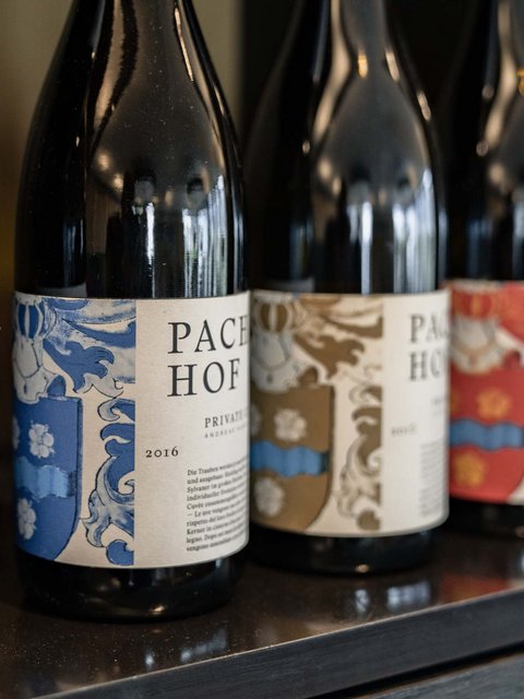 Hotel Pacherhof con tenuta vinicola: immagini e video Hotel Pacherhof con tenuta vinicola: immagini e video