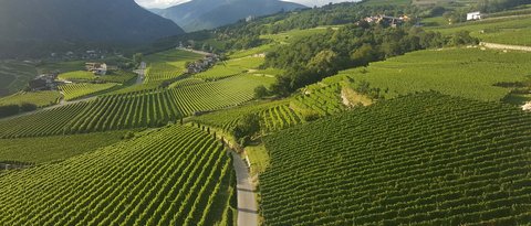 Hotel Pacherhof con tenuta vinicola: immagini e video Hotel Pacherhof con tenuta vinicola: immagini e video