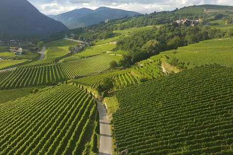 Hotel Pacherhof con tenuta vinicola: immagini e video Hotel Pacherhof con tenuta vinicola: immagini e video