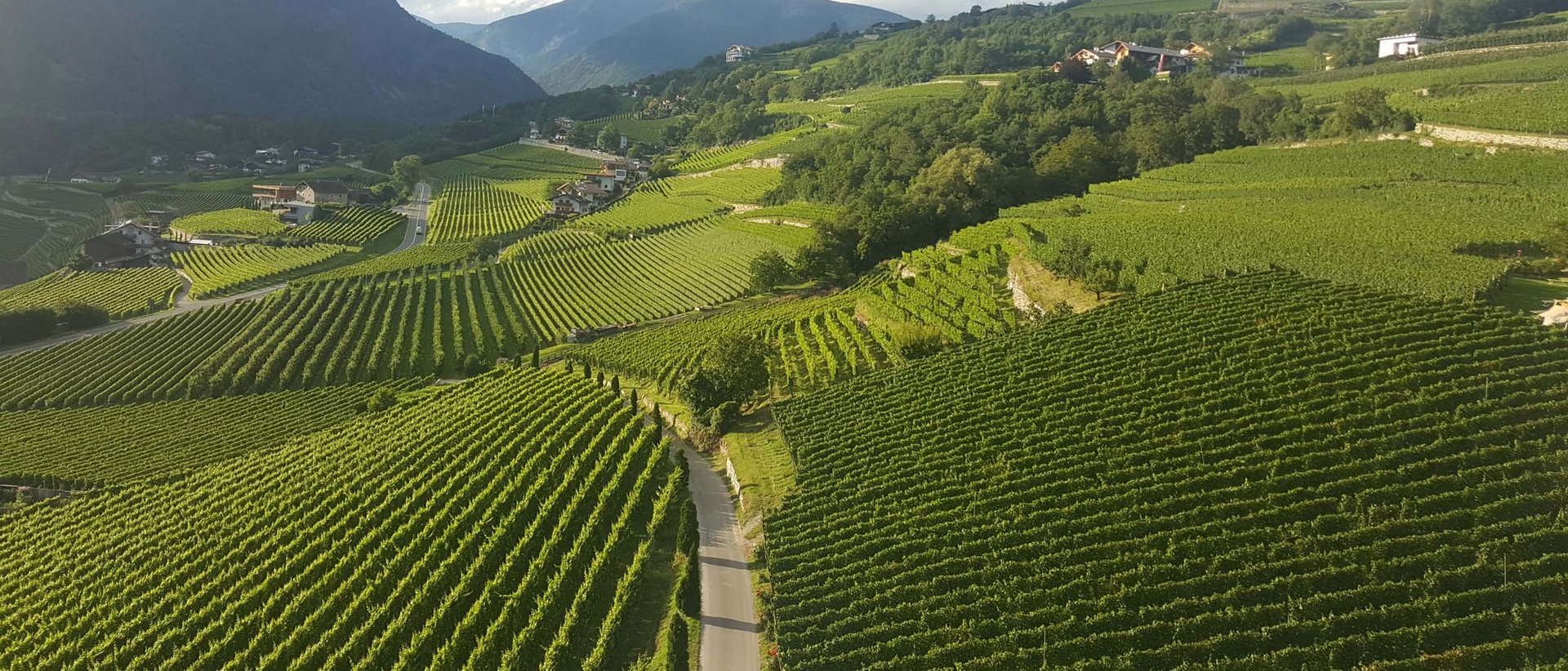 Pacherhof Hotel & Winery: Welcome! Pacherhof Hotel & Winery: Welcome!