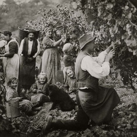 Pacherhof Hotel & Winery: Welcome! Pacherhof Hotel & Winery: Welcome!