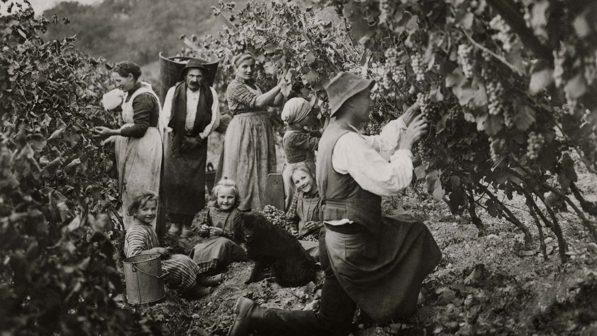 Weinhotel in Südtirol aus Tradition und Respekt