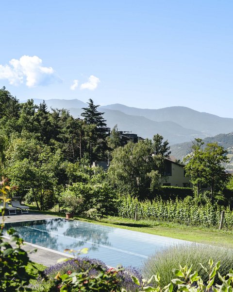 Hotel Pacherhof con tenuta vinicola: immagini e video Hotel Pacherhof con tenuta vinicola: immagini e video