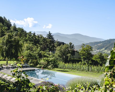 Hotel Pacherhof con tenuta vinicola: immagini e video Hotel Pacherhof con tenuta vinicola: immagini e video