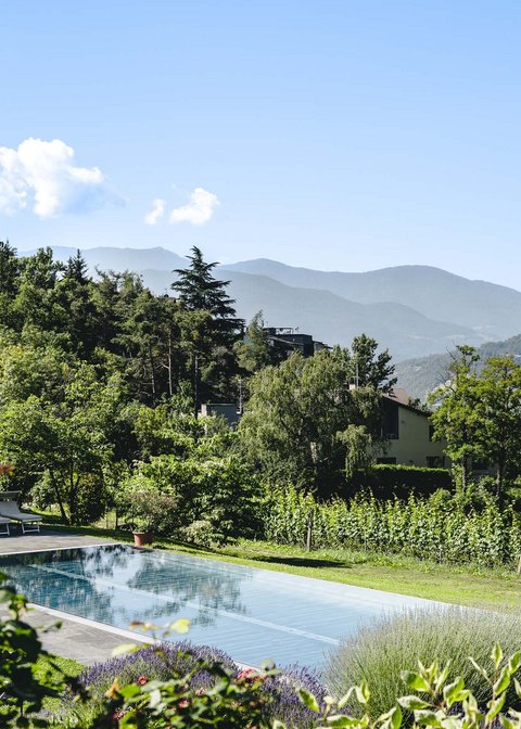 Hotel Pacherhof con tenuta vinicola: immagini e video Hotel Pacherhof con tenuta vinicola: immagini e video