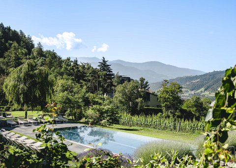 Hotel Pacherhof con tenuta vinicola: immagini e video Hotel Pacherhof con tenuta vinicola: immagini e video