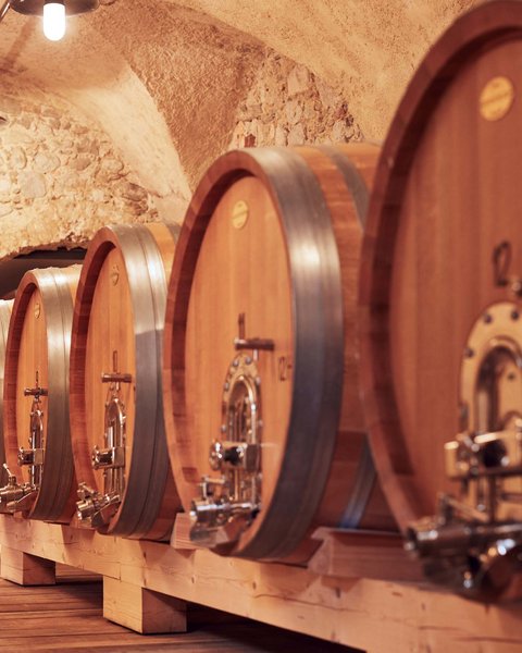 Hotel Pacherhof con tenuta vinicola: immagini e video Hotel Pacherhof con tenuta vinicola: immagini e video