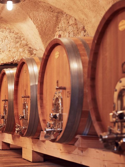 Hotel Pacherhof con tenuta vinicola: immagini e video Hotel Pacherhof con tenuta vinicola: immagini e video