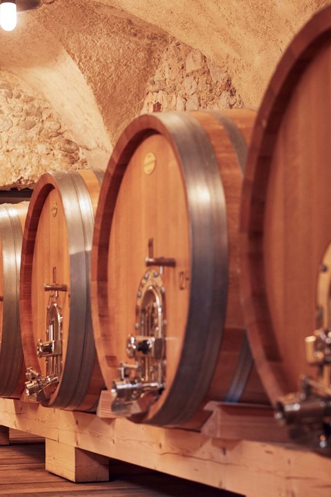 Hotel Pacherhof con tenuta vinicola: immagini e video Hotel Pacherhof con tenuta vinicola: immagini e video