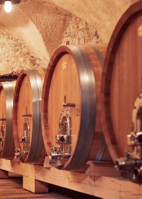 Hotel Pacherhof con tenuta vinicola: immagini e video Hotel Pacherhof con tenuta vinicola: immagini e video