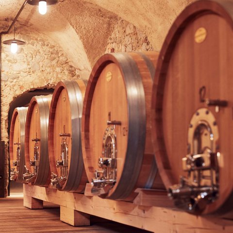 Hotel Pacherhof con tenuta vinicola: immagini e video Hotel Pacherhof con tenuta vinicola: immagini e video