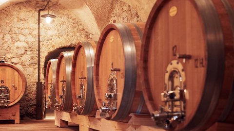 Hotel Pacherhof con tenuta vinicola: immagini e video Hotel Pacherhof con tenuta vinicola: immagini e video