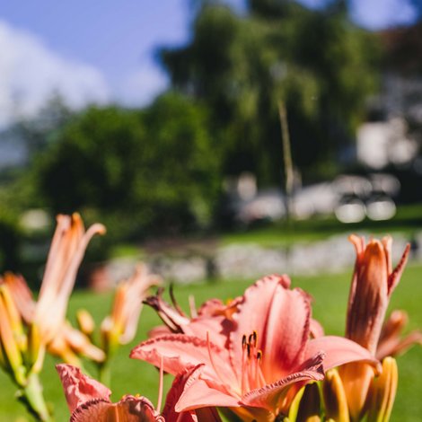 Pacherhof Hotel & Winery: Welcome! Pacherhof Hotel & Winery: Welcome!