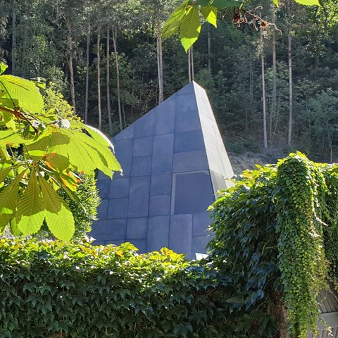 Hotel Pacherhof con tenuta vinicola: immagini e video Hotel Pacherhof con tenuta vinicola: immagini e video