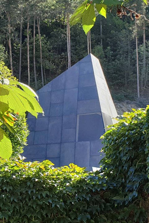 Hotel Pacherhof con tenuta vinicola: immagini e video Hotel Pacherhof con tenuta vinicola: immagini e video