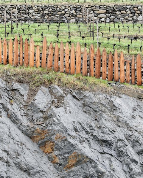 Hotel Pacherhof con tenuta vinicola: immagini e video Hotel Pacherhof con tenuta vinicola: immagini e video