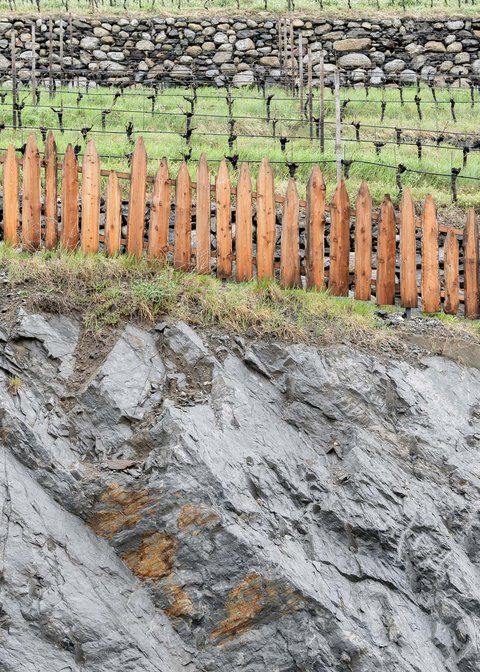 Hotel Pacherhof con tenuta vinicola: immagini e video Hotel Pacherhof con tenuta vinicola: immagini e video